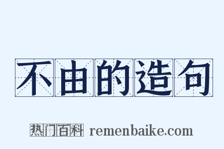 不由的造句是什么意思的图片